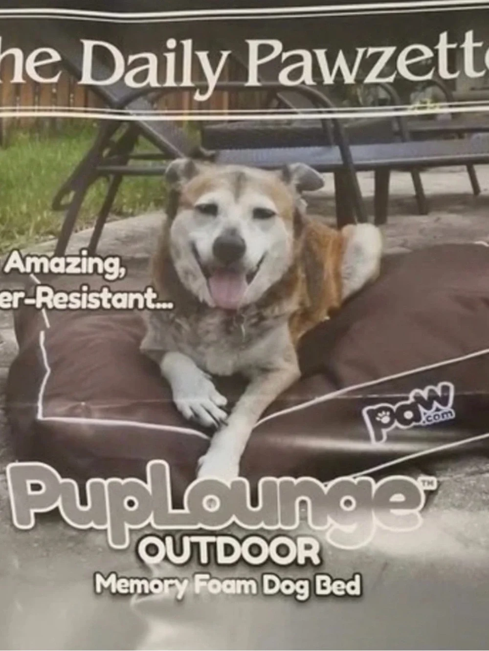New In A Box Outdoor Dog Bed Size x -Large